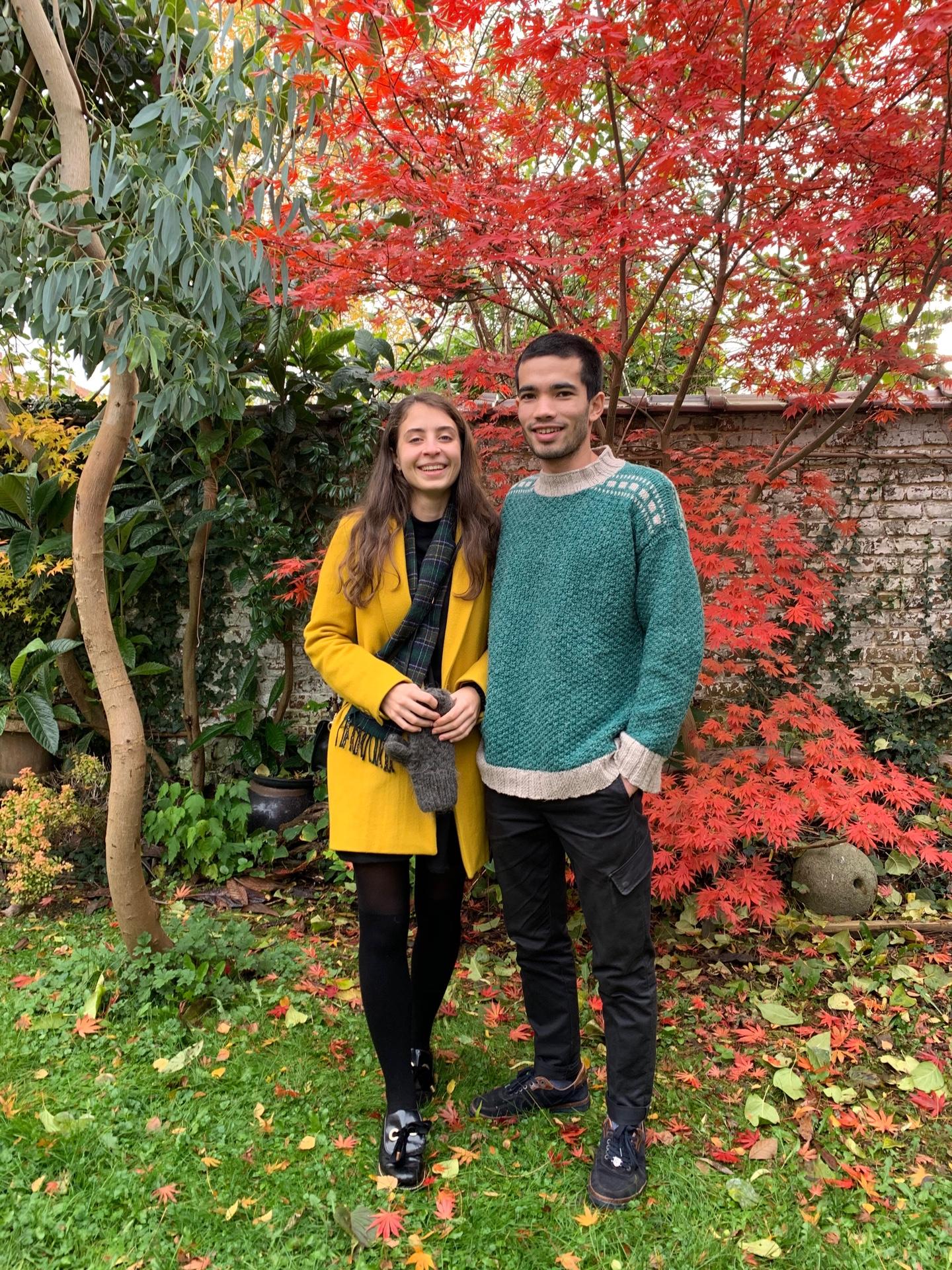 Autumn colours of the momiji